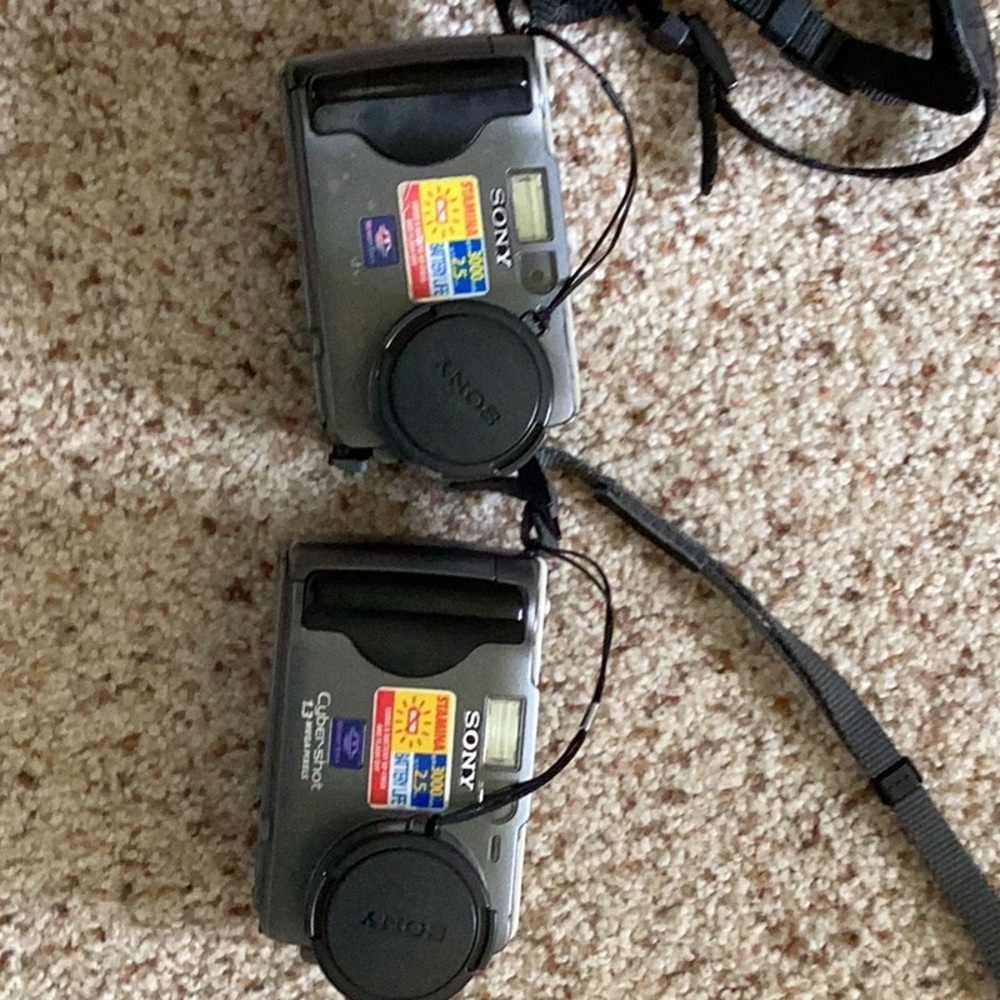 Sony Compact Digital Cameras in Metallic Gray